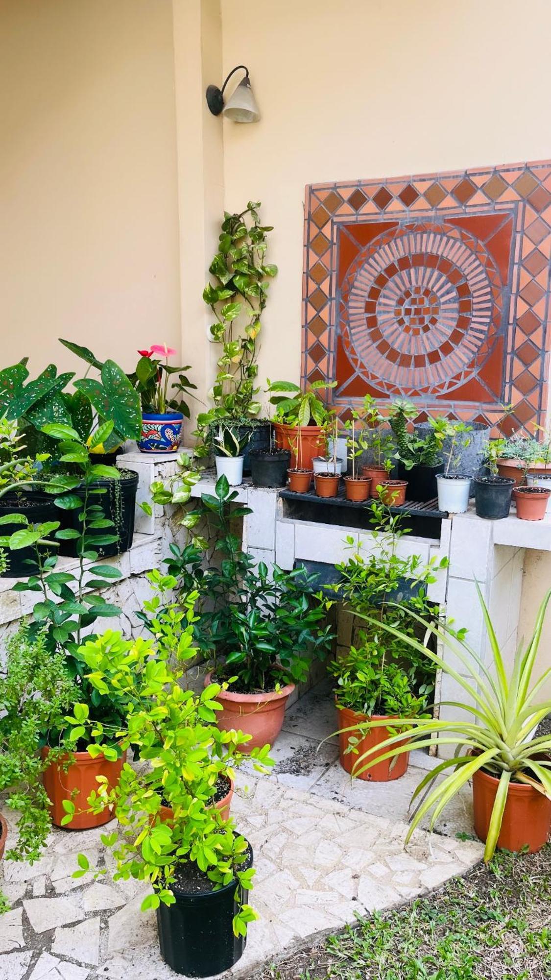 Ester'S Place Escazú 外观 照片