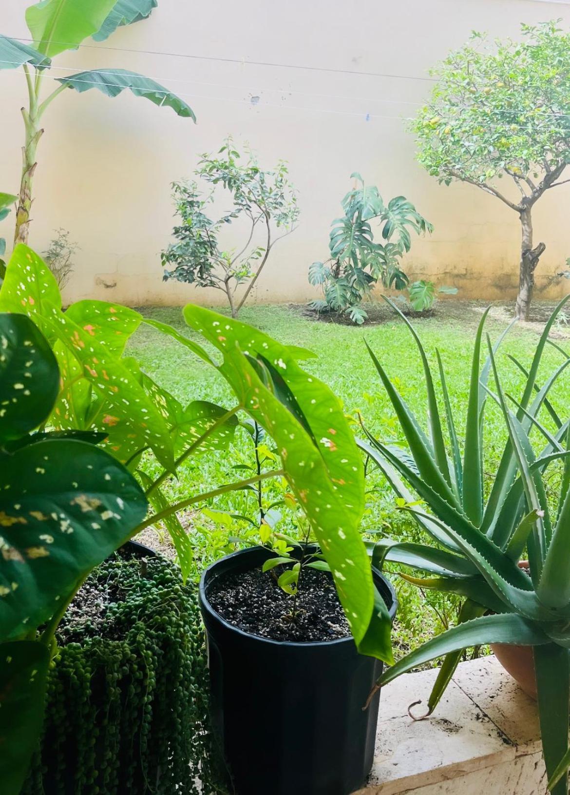 Ester'S Place Escazú 外观 照片