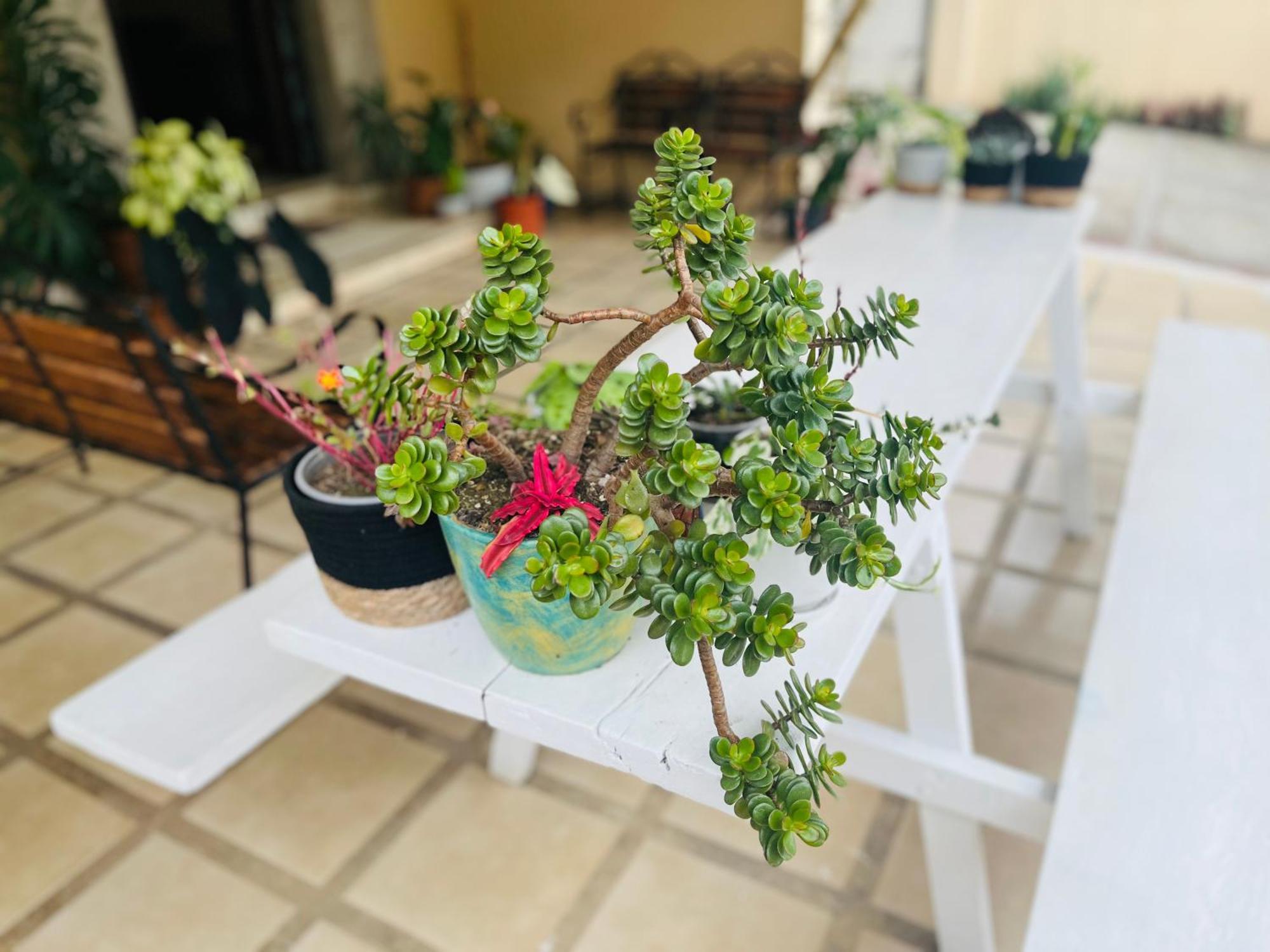 Ester'S Place Escazú 外观 照片