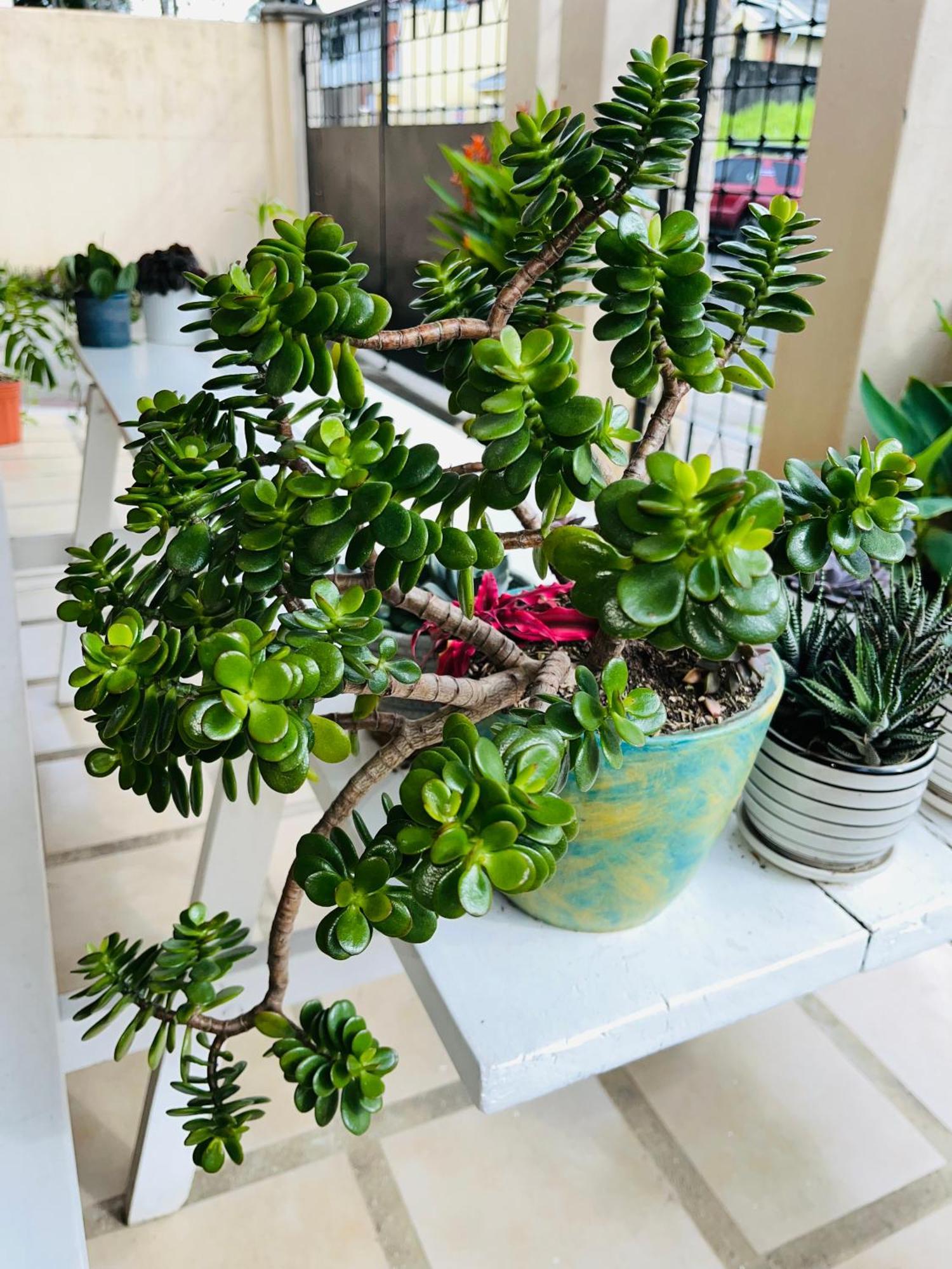 Ester'S Place Escazú 外观 照片